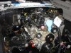 DSC05540.JPG