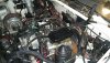 20160401_191029.jpg 20160401_191029.jpg