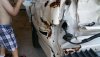 20160226_161356.jpg